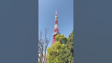 Tokyo tower #旅行 #travel #kaburajadulu #tokyo #japan