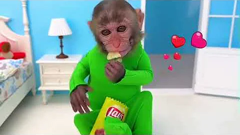 Monkey Baby Bon Bon goes shark fishing and eats watermelon and ducklings in the garden