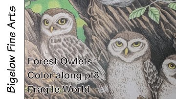 Polychromos color along and lesson - Owlets pt 8: Fragile World