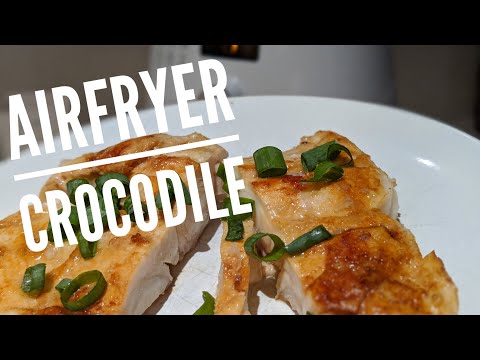 How To Cook Alligator Fillets In Air Fryer