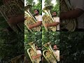 Happy feet   tuba quartet