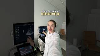 Как выглядит ЛОЖНАЯ ХОРДА