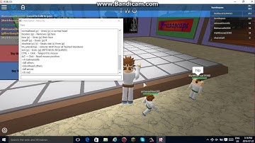 ROBLOX Exploit: 