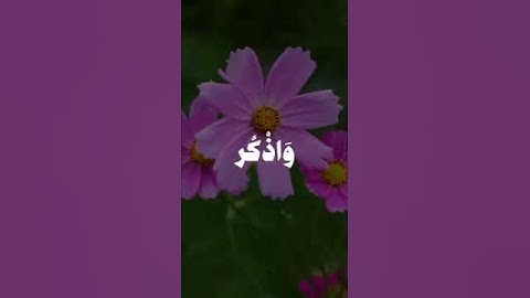 #اجر#المنشاوي_عبدالباسط_عبدالصمد_ماهر_المعيقلي_الشريم_السديس_تلاوة_خاشعه_من_خلاله_ما_أجمل_صوته