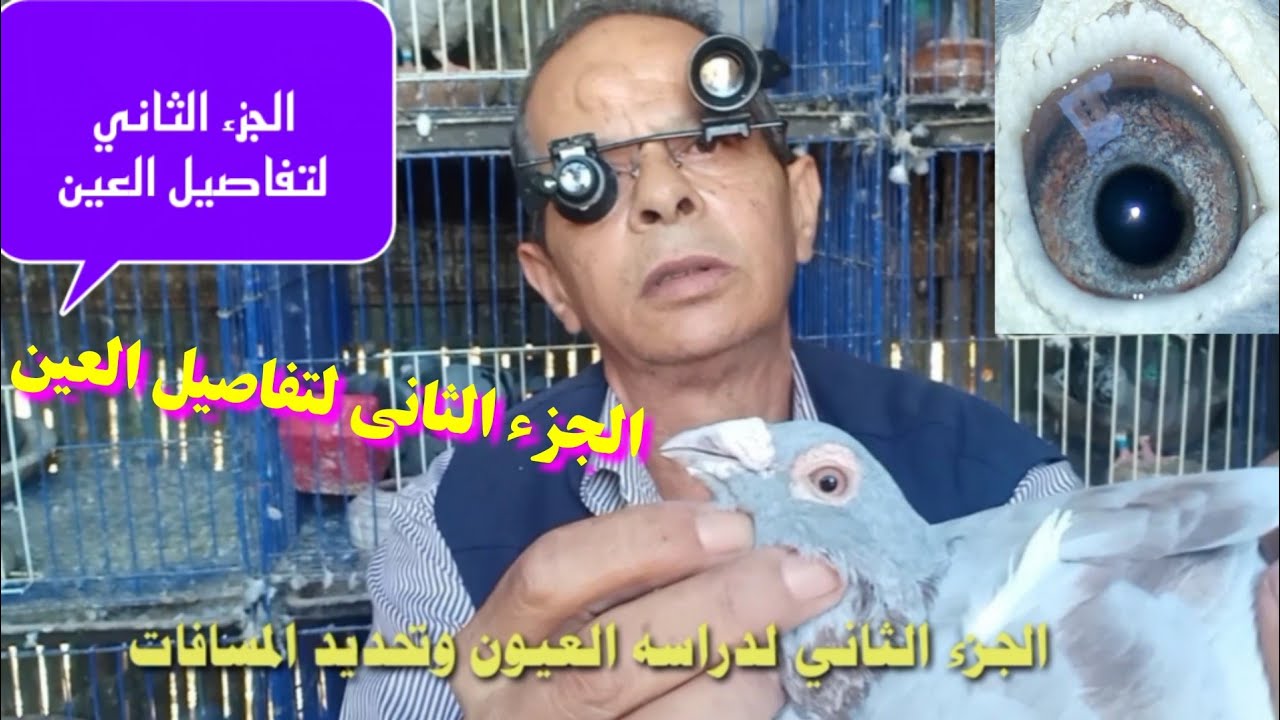 الجزء الثاني للدراسه العيون وتحديد المسافات الطويله والقصيره والوسط