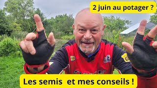 Que font les jardiniers aux 2 juin au jardin ?,  Mes conseils sur la mouche de la carotte  !