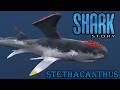 shark stories stethacanthus screen time