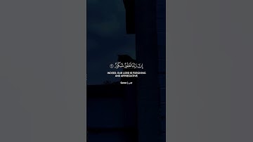 #رعد_الكردي #سورة_فاطر #قرآن #قران_كريم #لايك #راحه_نفسيه #quran #islamicvideo