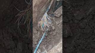 Rainbow Root work construction