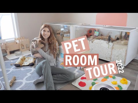 Pet Room Tour 2022!