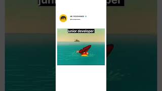 Senior Developer vs Junior Developer #seniordeveloper #python #juniordeveloper #c++ #WebDeveloper