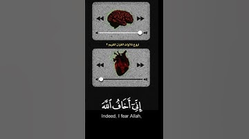 شريف مصطفى تلاوة مؤثرة سورة الحشر