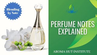 Perfume Notes Explained