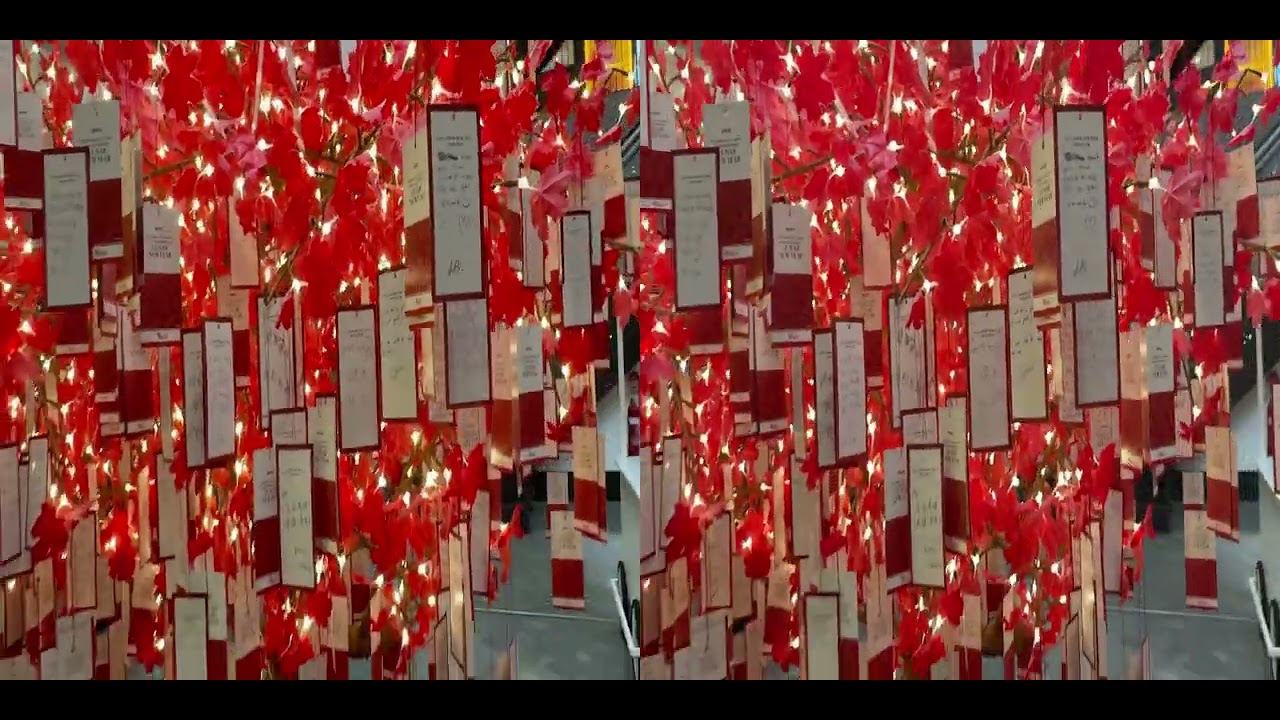 Spatial Video - Chinese New Year Red Packets Tree - YouTube