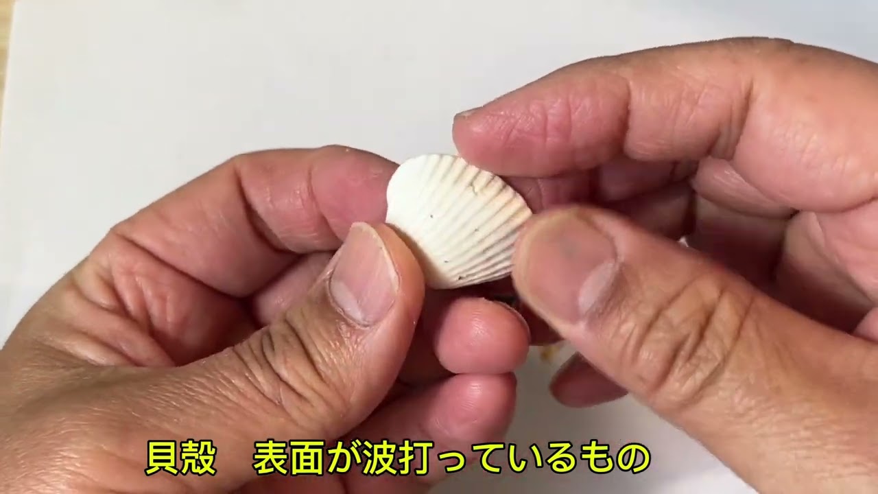 Make Colorful Metal Seashells - YouTube