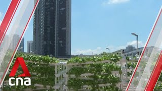 Nine HDB carpark rooftops to be rented out to urban farmers to grow crops