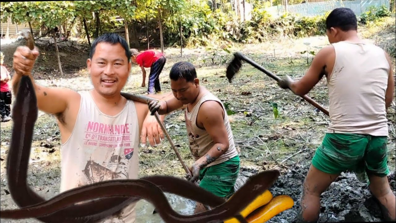 DRY SEASON EEL FISH HUNTING//BEST EEL FISHING//BOY HUNTING EEL FISH FROM DEEP MUD WATER :ADA ALFRED