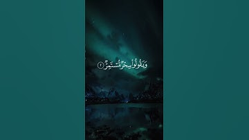 سورة القمر _القرآن الكريم