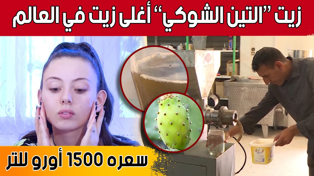 زيت التين الشوكي .. الأغلى ثمنا عالميا.. وفوائد صحية كبيرة.. شاهد:
