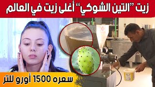 زيت التين الشوكي .. الأغلى ثمنا عالميا.. وفوائد صحية كبيرة.. شاهد: