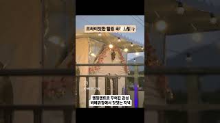 150평 공간이 오직 한팀만을 위한 독채 구조!신축이라 깨끗하고 애견동반도 가능한 펜션! #청도여행#청도펜션#청도숙소#청도풀빌라#청도독채펜션 #청도애견동반 #청도커플펜션 #여행