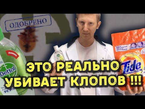 Народное средство от клопов, которое работает (мы проверили)