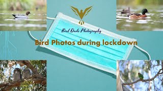 Lockdown Bird Pictures |Part 1|