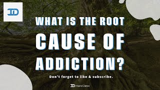 Root cause of addiction? | inland detox ...