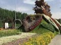 Dubai-Brunei 2017 Dubai-Brunei 2017