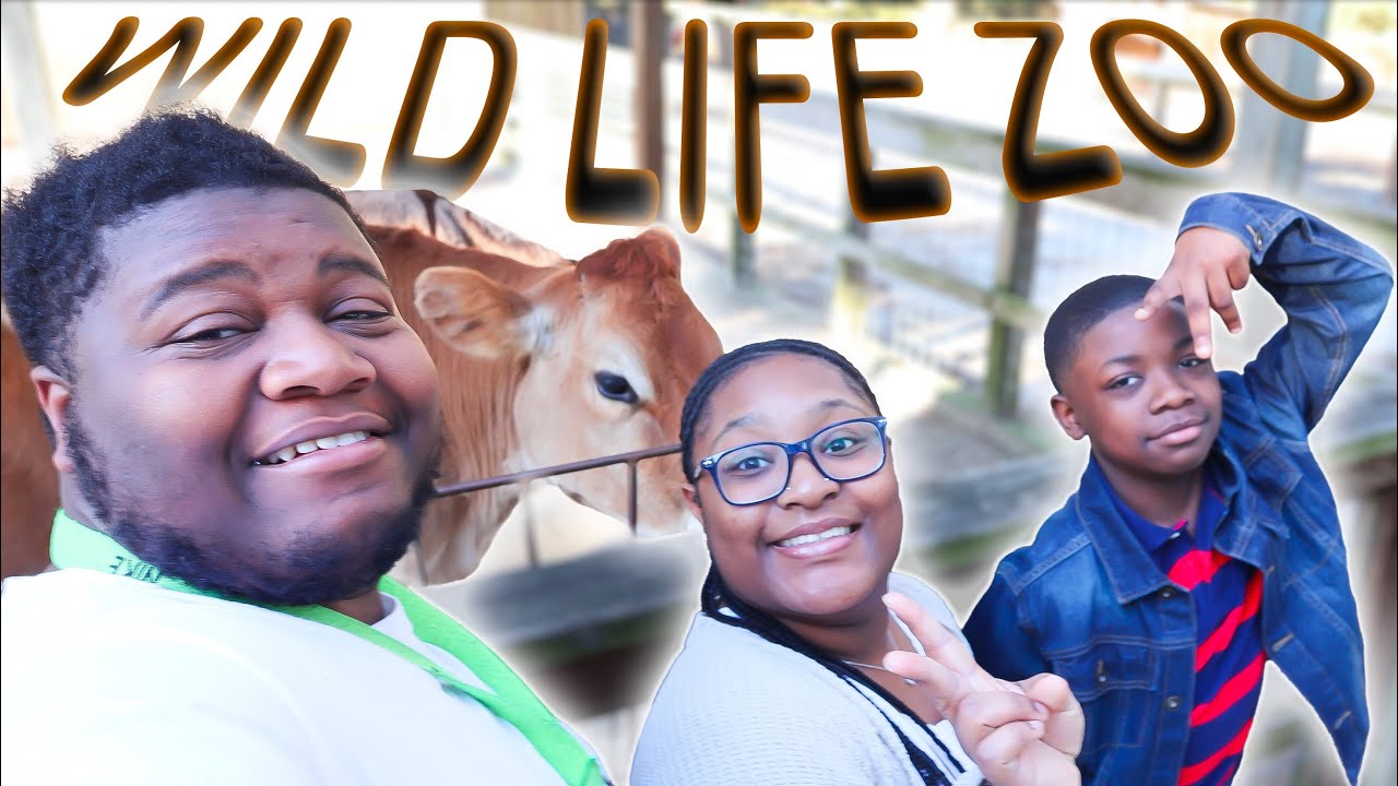 We Went to the Zoo… You Won’t Believe What We Saw!