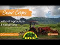 Cover crops with hip agriculture  kahumana organic farms
