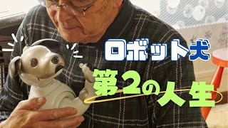 【ロボット犬 第2の人生】高齢化で”ペット”手放す飼い主…いま”ロボット犬”の里親探すケースが増加 その“第2の人生”に密着すると周囲に笑顔があふれていた (24/03/03 07:00)