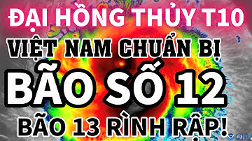 KHẨN CẤP! BÃO SỐ 12 ĐỔ BỘ – MƯA LŨ NHẤN CHÌM NHIỀU TỈNH THÀNH VIỆT NAM!