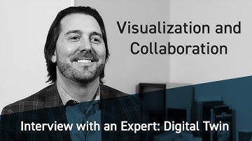 Interview with an Expert: Visualization and Collaboration