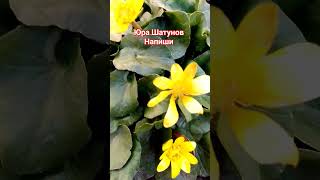 Юра Шатунов/Напиши Мне, Я Так Одинок/27.02.24Г.❤️❤️❤️❤️❤️❤️❤️🌹🌹🌹