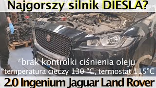 Motodziennik Warsztat: 2.0 diesel z Jaguarów, Land i Range Roverów. MASAKRA