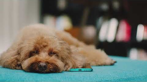 TCL IFA 2020 teaser #SwitchOnPossibility