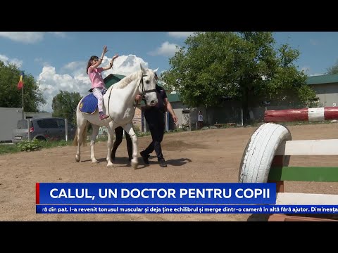 Video: Calul Miniatural Ajută La Ridicarea Spiritelor La Spitalul Pentru Copii Akron