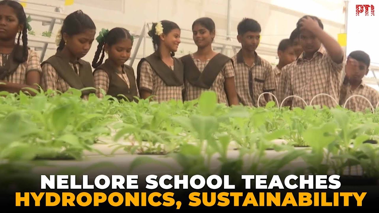 Nellore government school introduces hydroponics to teach students sustainable farming