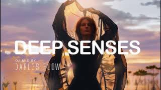 Darles Flow -  Deep Organic House Mix | Story of the Desert Wanderer |