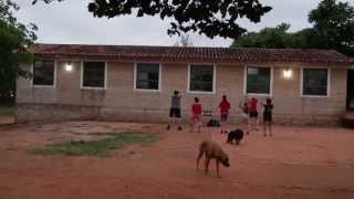 Servicio País y Arovia: Transferencia de conocimientos para el desarrollo social en Paraguay