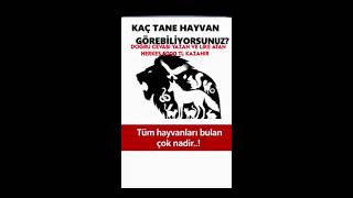 İnsanların �’i Bu Soruda Yanılıyor! 😱 (#shortsfeed #shorts #keşfet #slime #eğlence #roblox