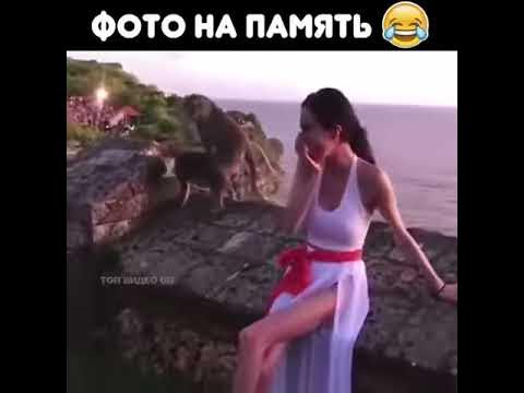 Позор - YouTube
