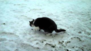 Murph's first Snow
