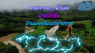 ตกปลากด....น้ำแดง ฝายน้ำล้นบ้านนอก...กับบรรยายกาศ