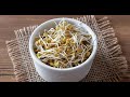 Sprouted fenugreek seeds have amazing benefits on the metabolic diseases