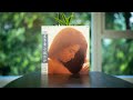 Kaoru Kuroki (黒木香) - 小娘日和