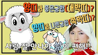 궁합 양띠가 누구를 만나야 대박날까? 양띠 이런띠 만나면 쪽박이야? #무당 #무속인 #점집 #점잘보는점집