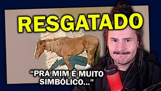 RESGATE DO CAVALO CARAMELO: A História que Comoveu o Brasil | Cortes luideverso