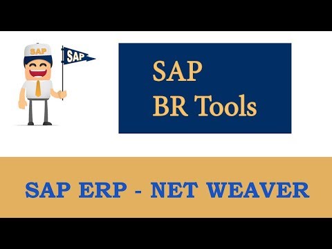 ERP SAP Basis - Net Weaver | SAP BR tools |